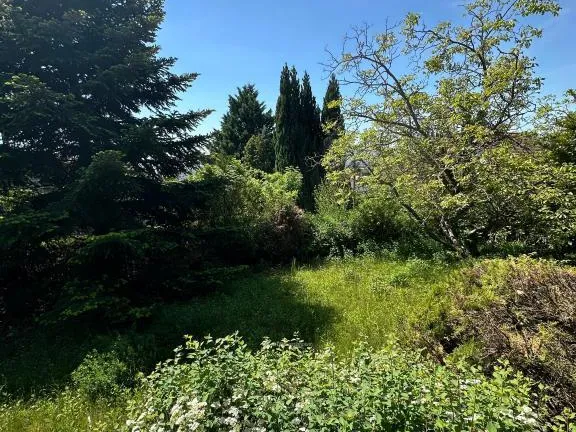 Eladó telek Szentendre, Pismány 811 nm