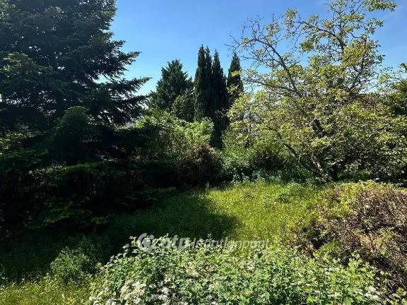 Eladó telek Szentendre, Pismány 811 nm