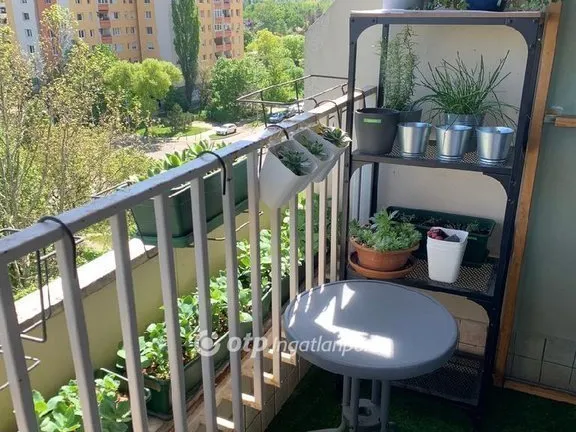 Eladó lakás Budapest III. kerület, Békásmegyer 50 nm