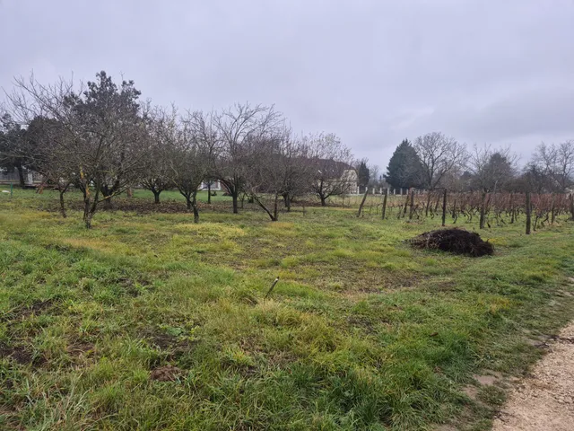 Eladó telek Cserszegtomaj 1603 nm