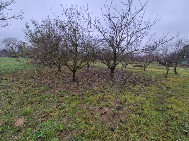 Eladó telek Cserszegtomaj 1603 nm