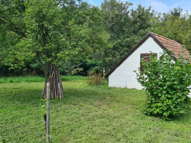 Eladó mezőgazdasági ingatlan Alsópáhok 40 nm