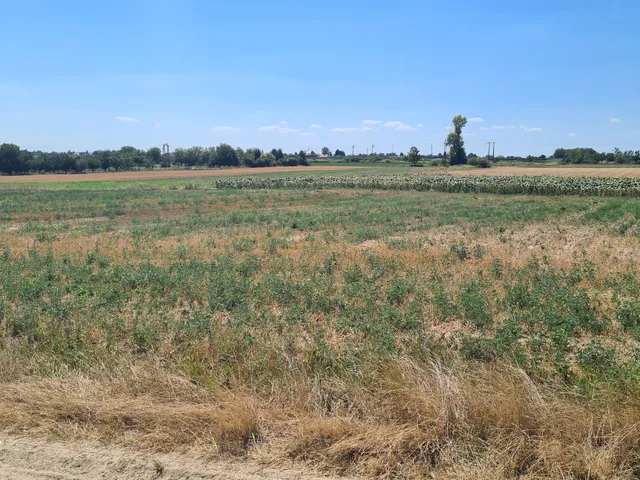 Eladó telek Cserszegtomaj 7738 nm