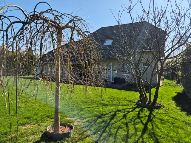 Eladó ház Vonyarcvashegy 225 nm