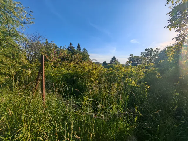 Eladó telek Esztergom, Zamárd 2201 nm