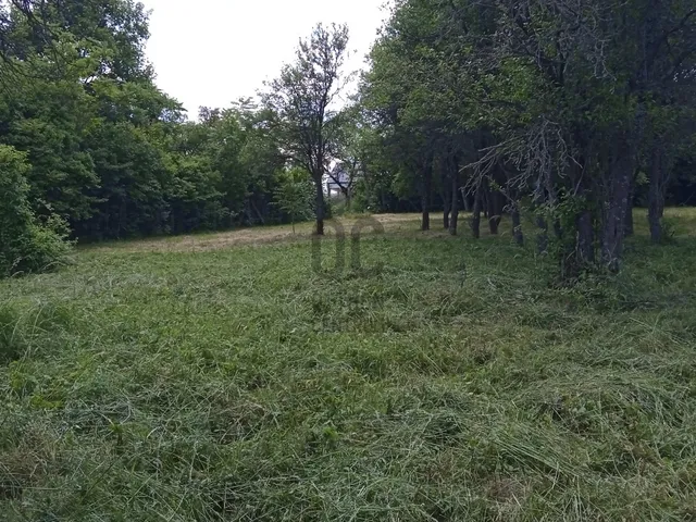 Eladó telek Dömös 909 nm