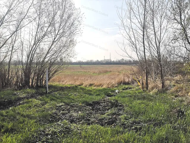 Eladó kereskedelmi és ipari ingatlan Szolnok 8717 nm