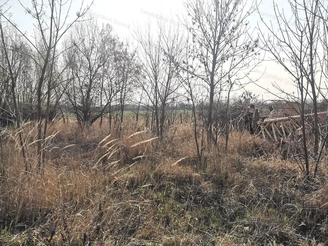 Eladó kereskedelmi és ipari ingatlan Szolnok 8717 nm