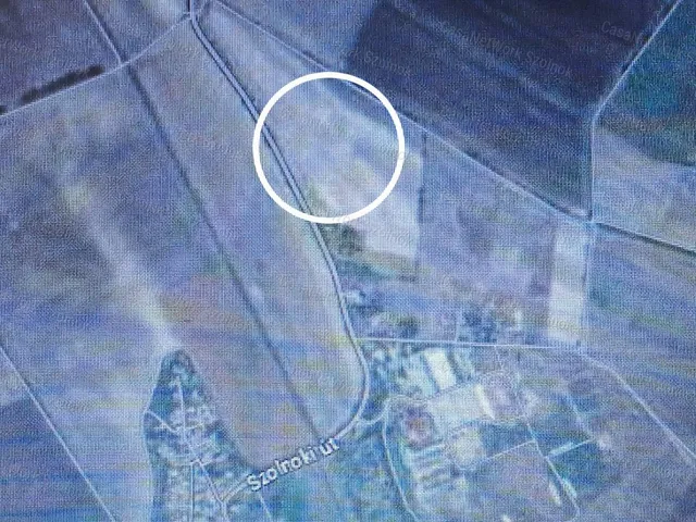 Eladó mezőgazdasági ingatlan Tiszaföldvár 8381 nm