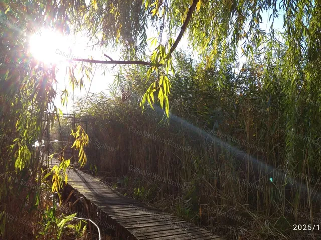 Eladó üdülő és hétvégi ház Cibakháza 65 nm