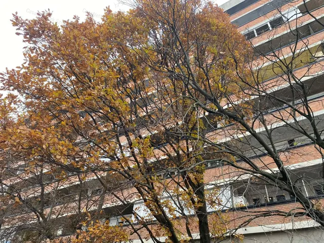 Eladó lakás Szolnok 58 nm