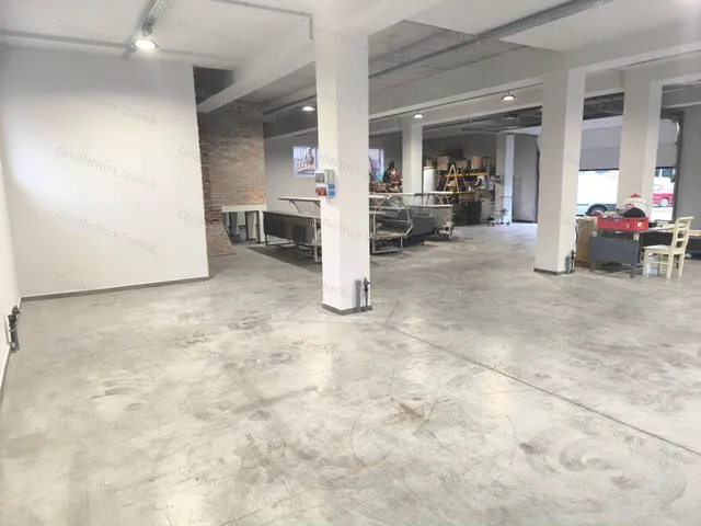 Kiadó kereskedelmi és ipari ingatlan Szolnok 533 nm