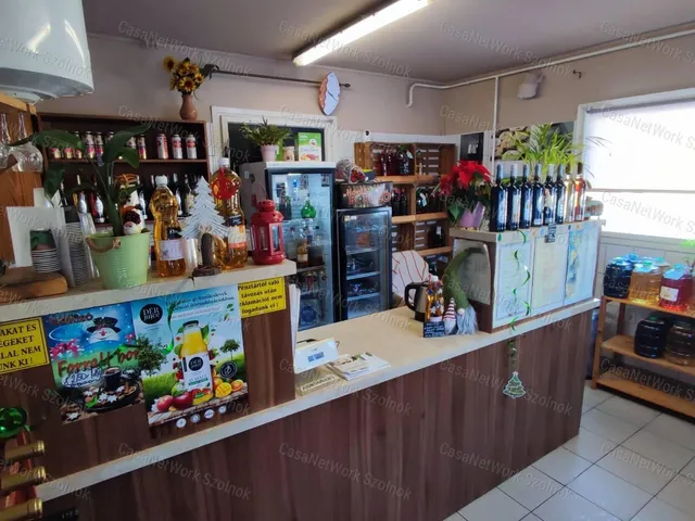 Eladó kereskedelmi és ipari ingatlan Szolnok 190 nm