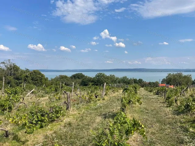 Eladó telek Balatonszepezd 6295 nm