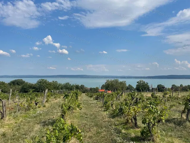 Eladó telek Balatonszepezd 6295 nm