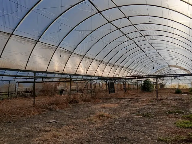 Eladó kereskedelmi és ipari ingatlan Martfű 3600 nm