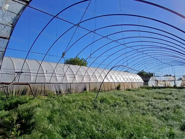 Eladó kereskedelmi és ipari ingatlan Martfű 3600 nm
