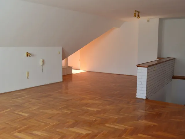 Kiadó ház Budapest II. kerület, Pálvölgy, Turista út 225 nm