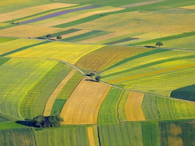 Eladó mezőgazdasági ingatlan Szada 913 nm