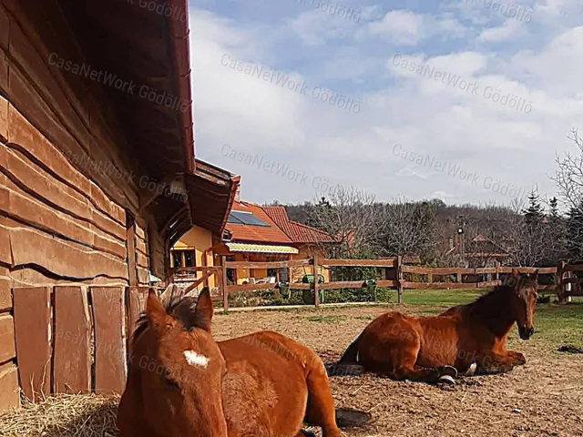 Eladó ház Szada 158 nm