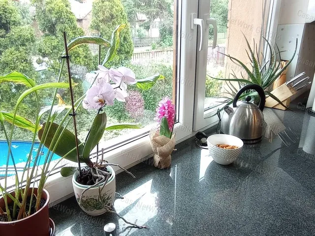 Eladó ház Őrbottyán 231 nm