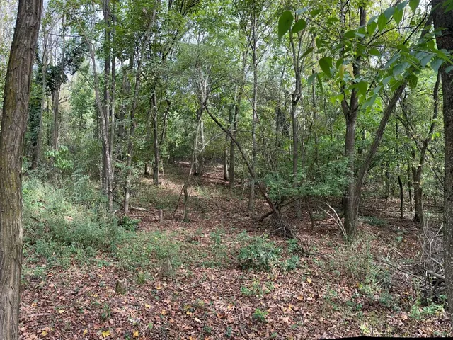 Eladó telek Gödöllő, Máriabesnyő 10858 nm