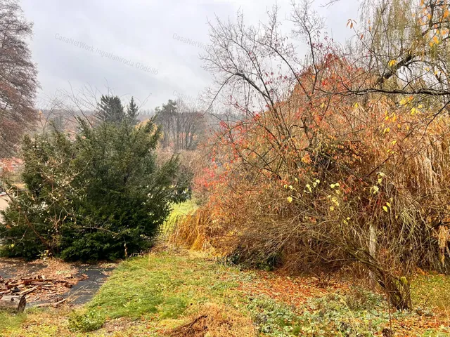 Eladó telek Domony 1316 nm