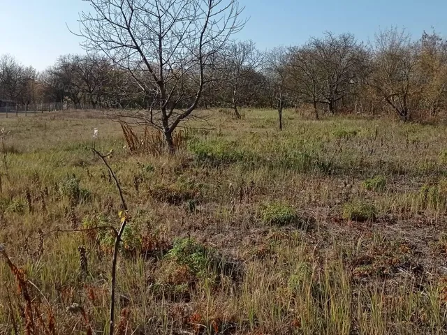 Eladó mezőgazdasági ingatlan Gödöllő 3600 nm