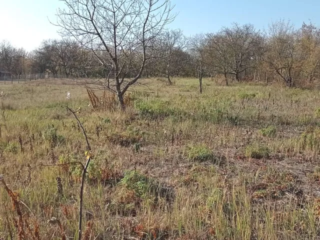 Eladó mezőgazdasági ingatlan Gödöllő 3600 nm