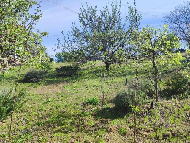 Eladó mezőgazdasági ingatlan Mogyoród 1009 nm