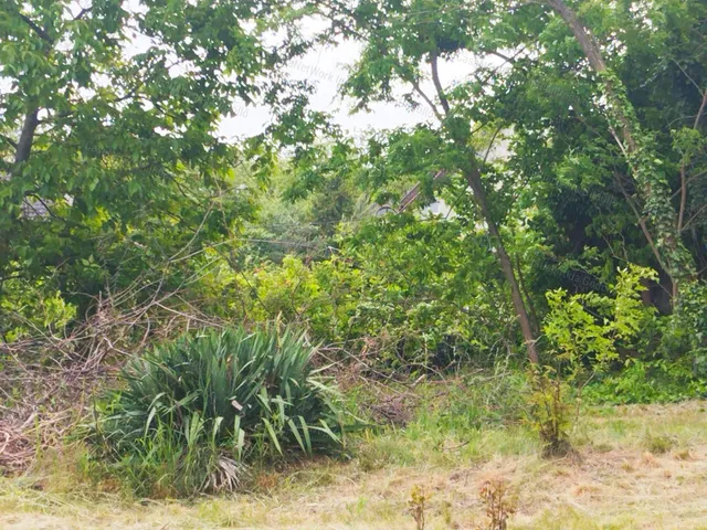 Eladó telek Veresegyház 796 nm