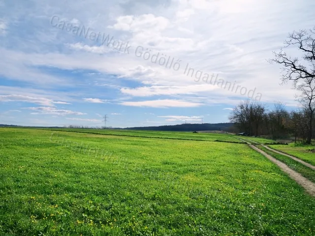 Eladó mezőgazdasági ingatlan Mogyoród 46160 nm