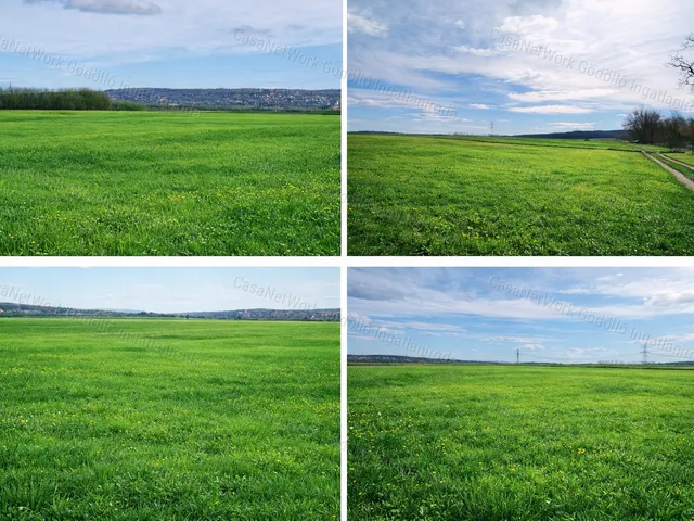 Eladó mezőgazdasági ingatlan Mogyoród 46160 nm