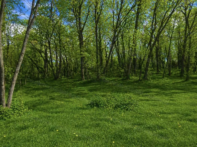 Eladó telek Veresegyház 816 nm