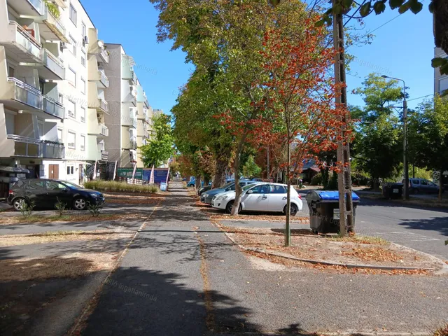 Eladó lakás Gödöllő 64 nm