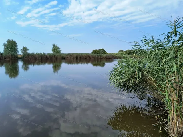 Eladó mezőgazdasági ingatlan Tiszapüspöki 831 nm