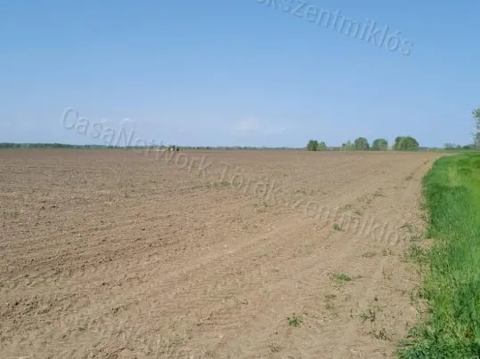 Eladó mezőgazdasági ingatlan Tiszabő 111866 nm