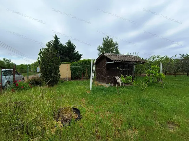 Eladó mezőgazdasági ingatlan Törökszentmiklós 814 nm