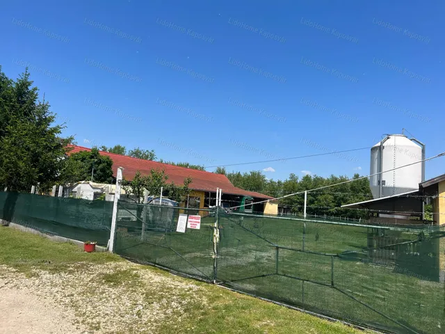 Eladó mezőgazdasági ingatlan Mike 1500 nm