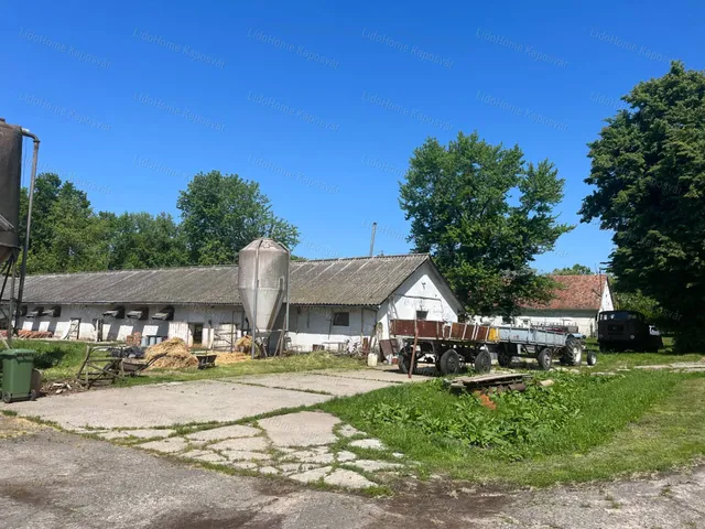 Eladó mezőgazdasági ingatlan Lad 3314 nm