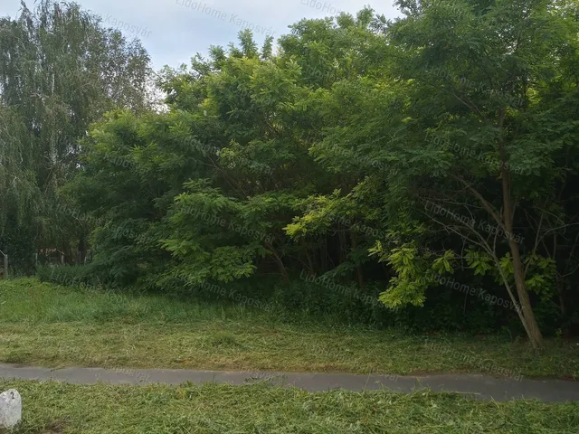 Eladó telek Kaposfő 3918 nm