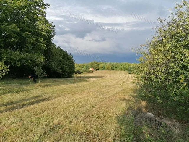 Eladó mezőgazdasági ingatlan Kaposvár 21000 nm