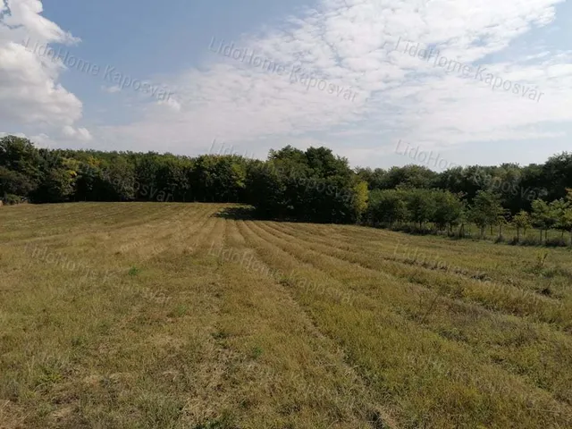 Eladó mezőgazdasági ingatlan Kaposvár 21000 nm