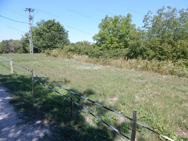 Eladó mezőgazdasági ingatlan Kaposvár 1631 nm
