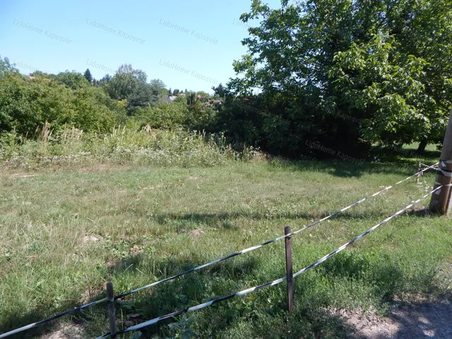 Eladó mezőgazdasági ingatlan Kaposvár 1631 nm