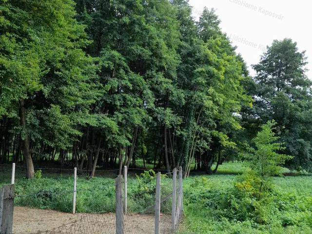 Eladó mezőgazdasági ingatlan Kaposvár 460 nm