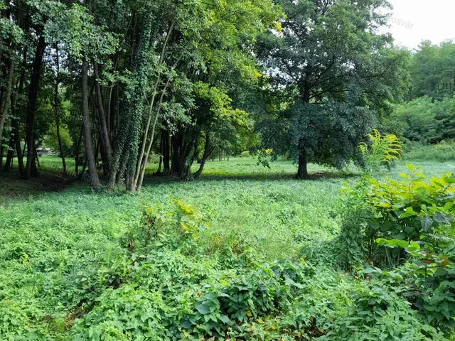 Eladó mezőgazdasági ingatlan Kaposvár 10625 nm