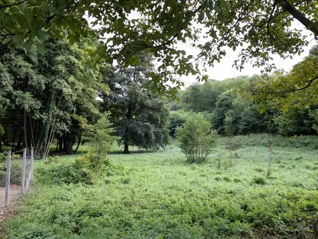 Eladó mezőgazdasági ingatlan Kaposvár 10625 nm