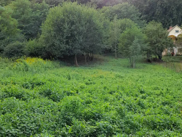 Eladó mezőgazdasági ingatlan Kaposvár 913 nm