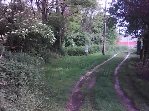 Eladó telek Kaposfő 9062 nm